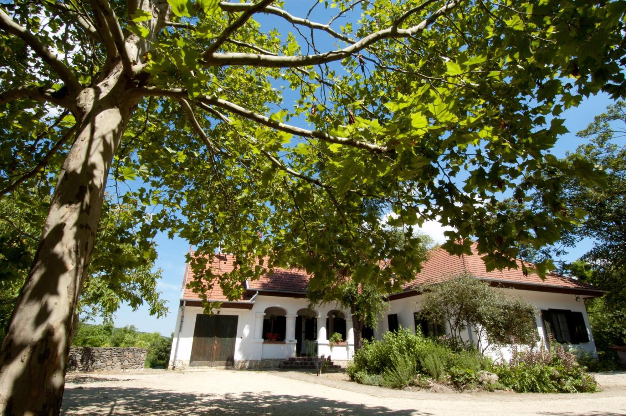 Somogy Kertje Üdülőfalu és Étterem Bonnya Esterno foto